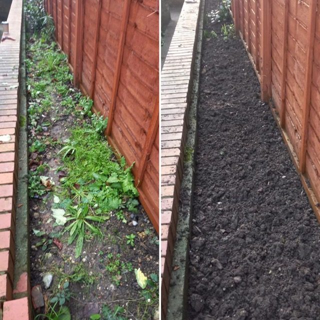 Before and after weeding a border bed