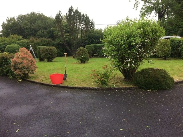 Well-kept lawn beside a driveway