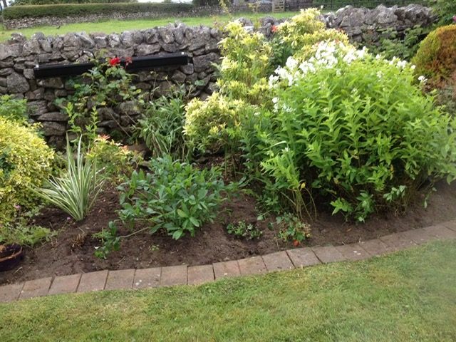 Neatly kept shrub border with lawn edge